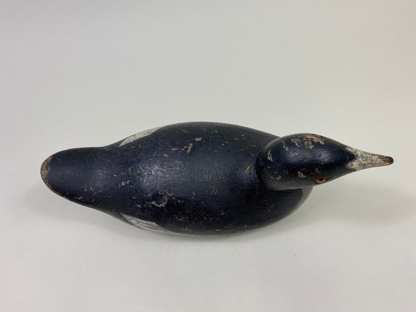 Mason Challenge Grade Coot (#9469)
