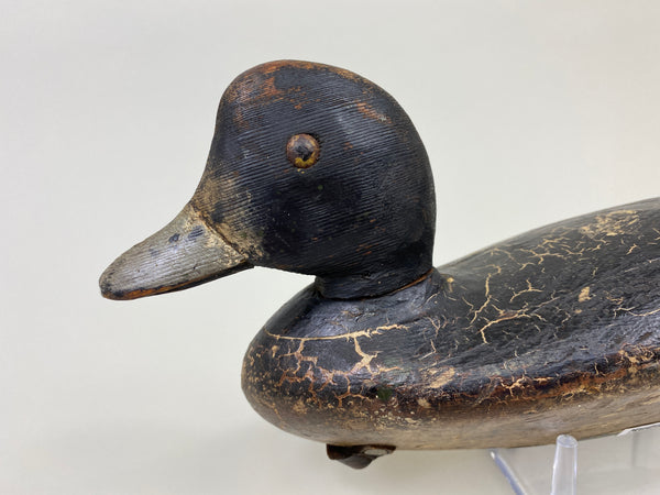Ontario Penitentiary Bluebill (#9485)