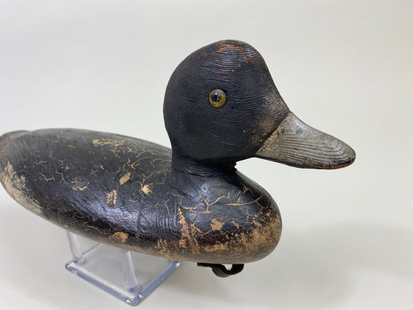Ontario Penitentiary Bluebill (#9485)