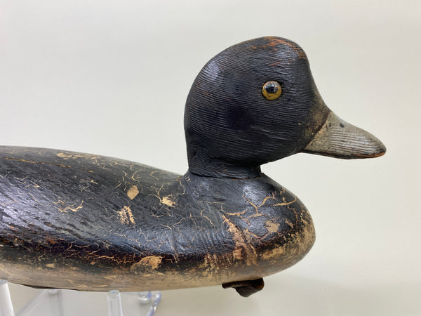 Ontario Penitentiary Bluebill (#9485)