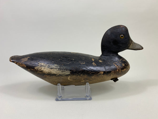 Ontario Penitentiary Bluebill (#9485)