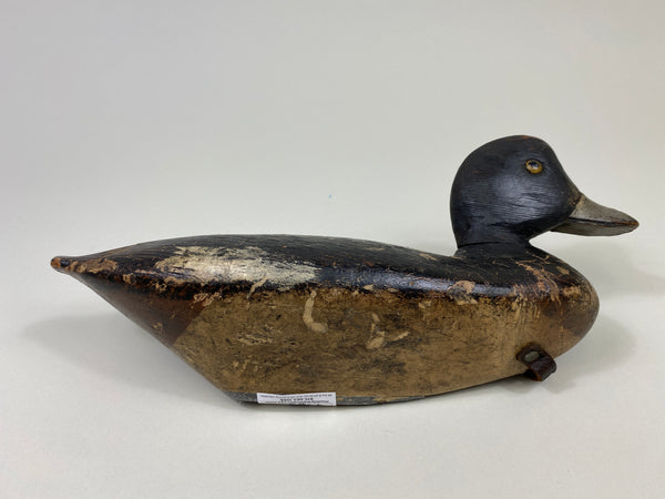 Ontario Penitentiary Bluebill (#9485)