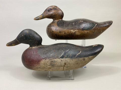 Rigmate Pair of Dodge Mallards (#9486)