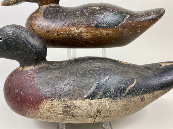 Rigmate Pair of Dodge Mallards (#9486)