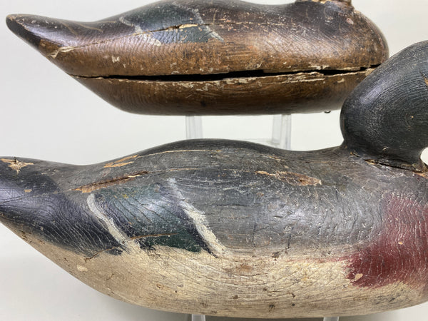 Rigmate Pair of Dodge Mallards (#9486)