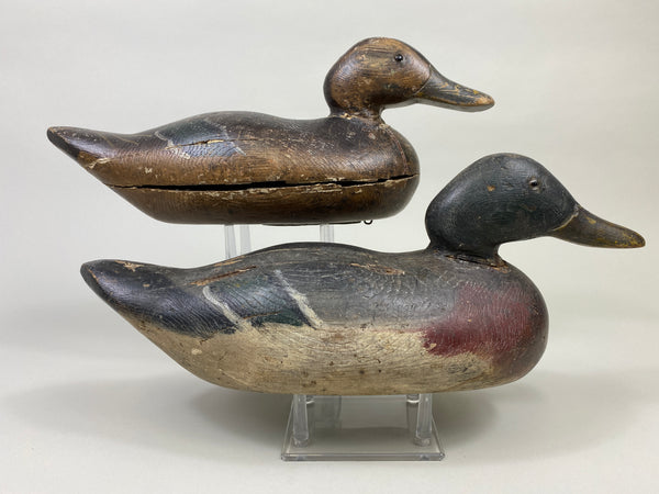 Rigmate Pair of Dodge Mallards (#9486)