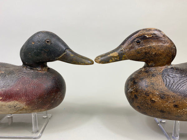 Rigmate Pair of Dodge Mallards (#9486)