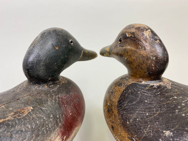 Rigmate Pair of Dodge Mallards (#9486)