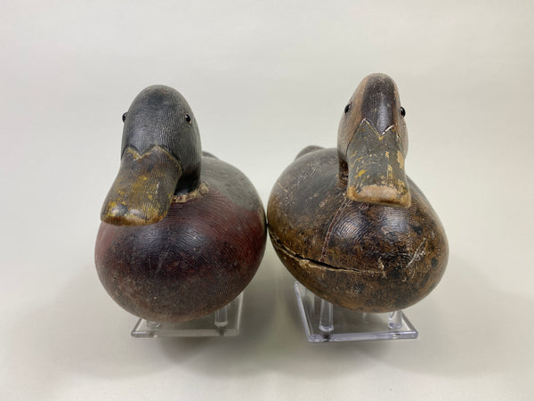 Rigmate Pair of Dodge Mallards (#9486)