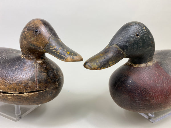 Rigmate Pair of Dodge Mallards (#9486)