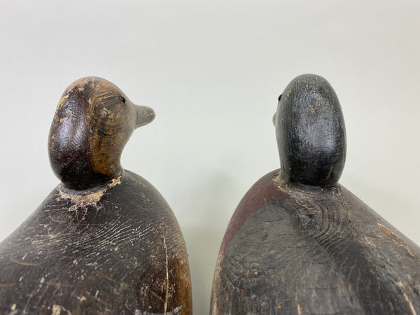 Rigmate Pair of Dodge Mallards (#9486)