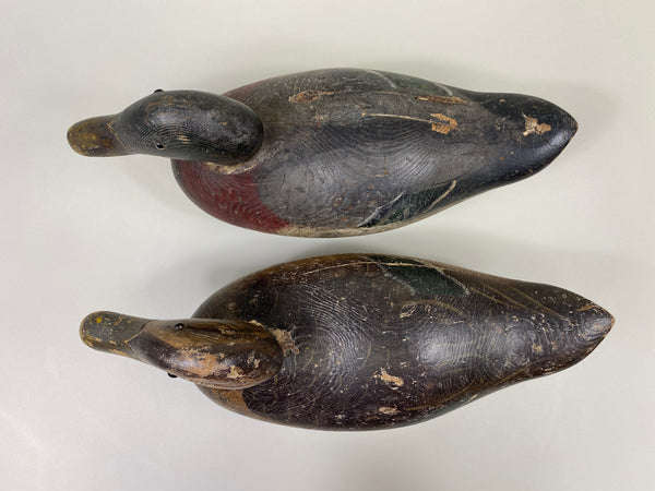 Rigmate Pair of Dodge Mallards (#9486)