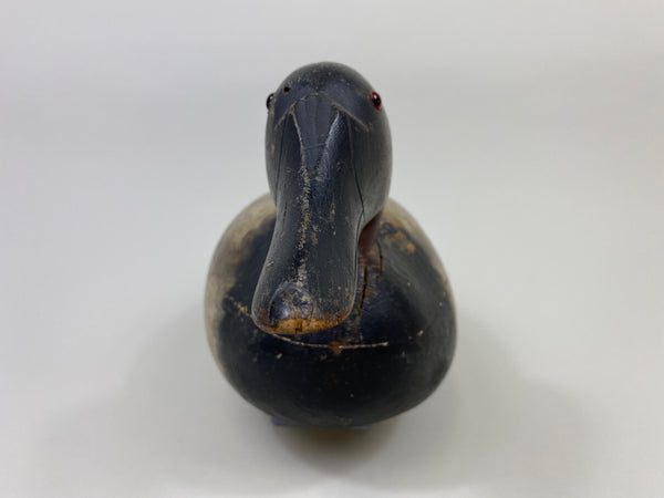 Mason Premier Canvasback (#9495)