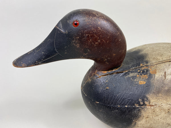 Mason Premier Canvasback (#9495)