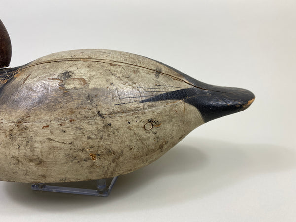 Mason Premier Canvasback (#9495)