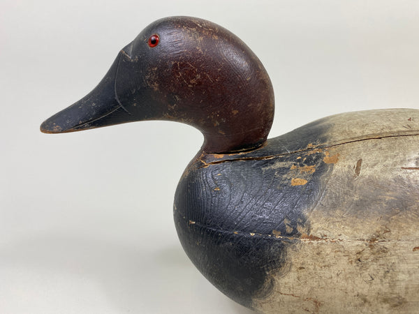 Mason Premier Canvasback (#9495)
