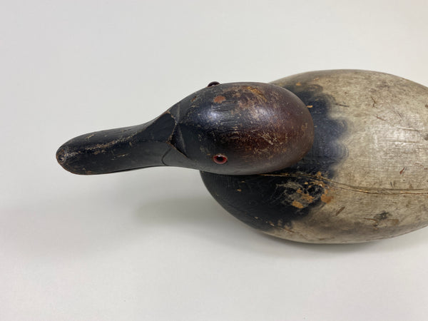 Mason Premier Canvasback (#9495)