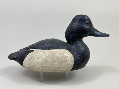 John Zachmann Bluebill Drake (#9500)
