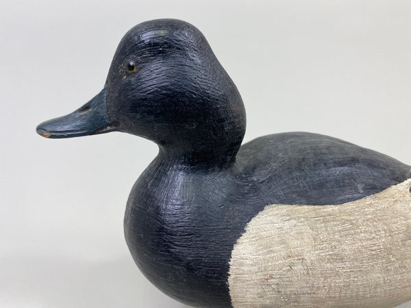 John Zachmann Bluebill Drake (#9500)