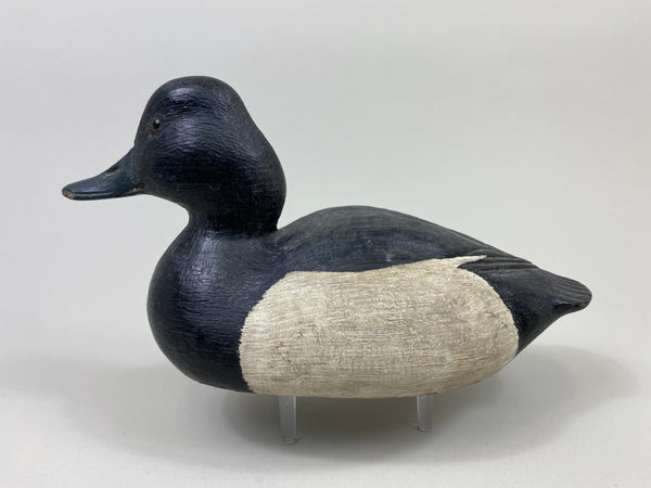 John Zachmann Bluebill Drake (#9500)