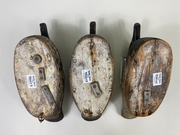 Trio of Midwest Ringbills (#9502)