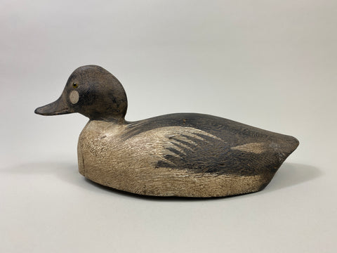 Michigan Goldeneye Drake, Circa 1930's (#9510)