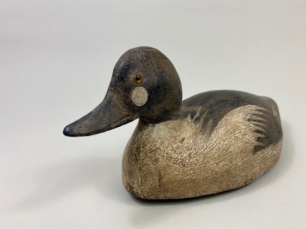 Michigan Goldeneye Drake, Circa 1930's (#9510)