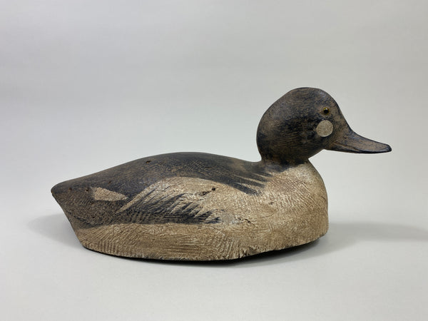 Michigan Goldeneye Drake, Circa 1930's (#9510)