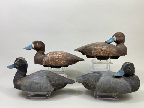 4 Rigmate Wisconsin Bluebills (#9511)