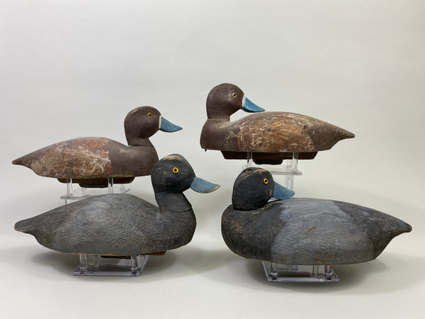 4 Rigmate Wisconsin Bluebills (#9511)