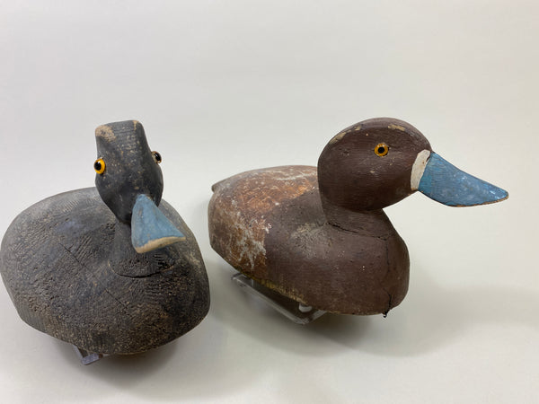 4 Rigmate Wisconsin Bluebills (#9511)