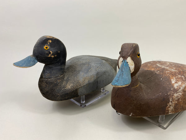 4 Rigmate Wisconsin Bluebills (#9511)