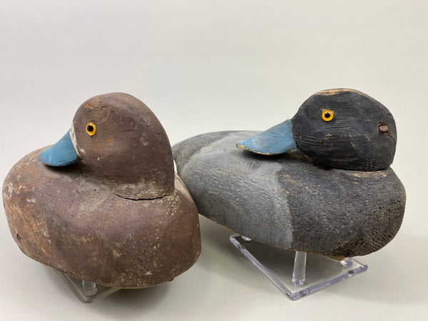 4 Rigmate Wisconsin Bluebills (#9511)