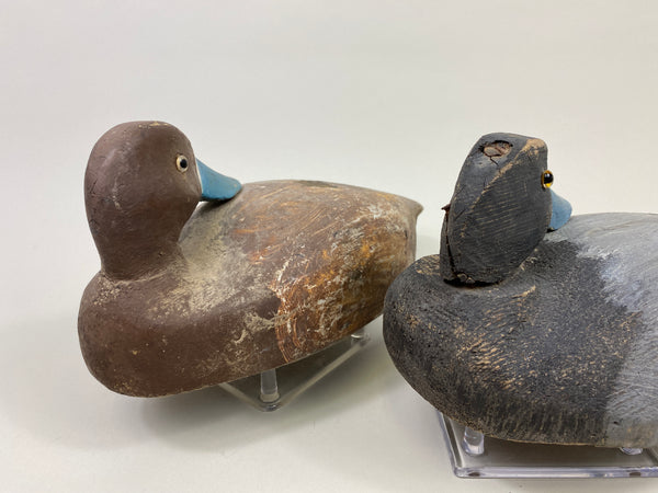 4 Rigmate Wisconsin Bluebills (#9511)