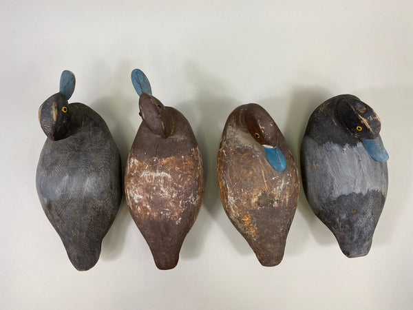 4 Rigmate Wisconsin Bluebills (#9511)