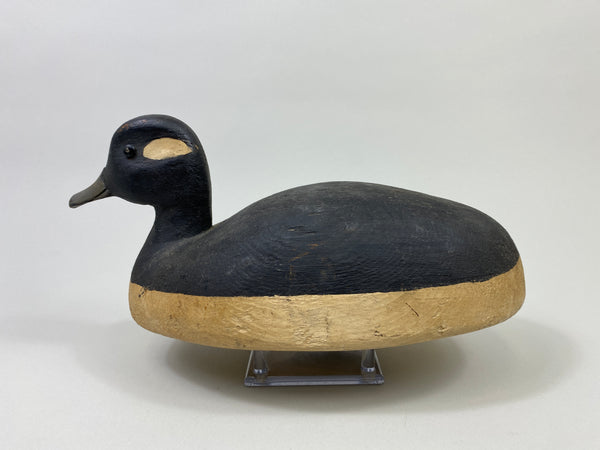 Ralph Jennings Bufflehead Hen (#9513)