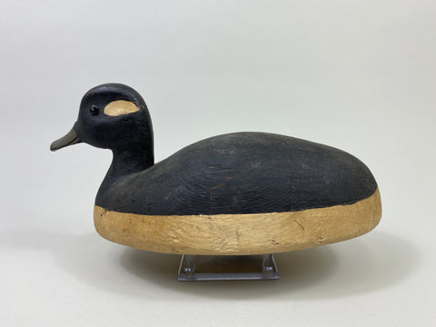 Ralph Jennings Bufflehead Hen (#9513)