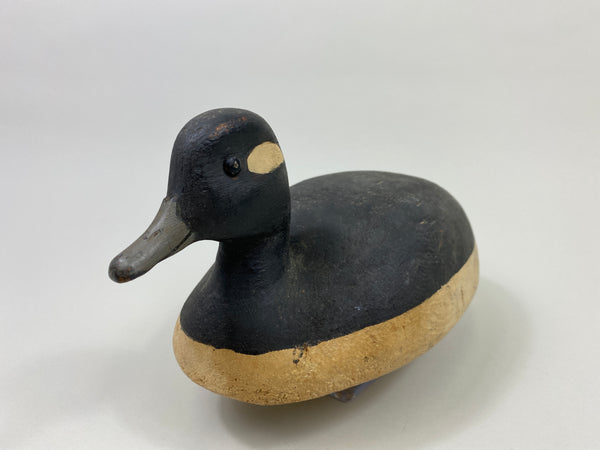 Ralph Jennings Bufflehead Hen (#9513)