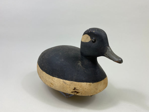 Ralph Jennings Bufflehead Hen (#9513)