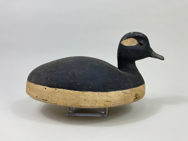 Ralph Jennings Bufflehead Hen (#9513)