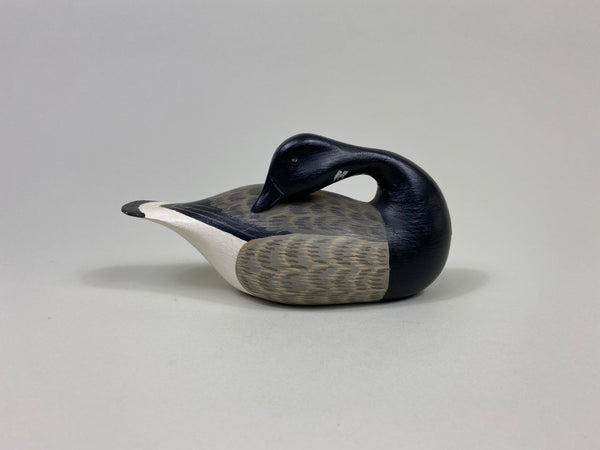 H. V. Shourds Third Size Preening Brant (#9531)