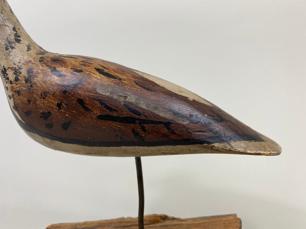 deca joins 鳥鳥鳥 Bird And Reflections アナログ Townsend Family Ruddy Turnstone (#9534) - Muddy Water Decoys