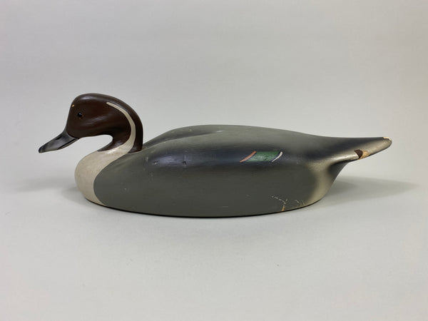 Walter Ruppel Pintail Drake (#9546)