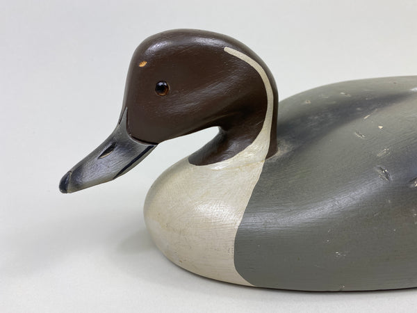 Walter Ruppel Pintail Drake (#9546)