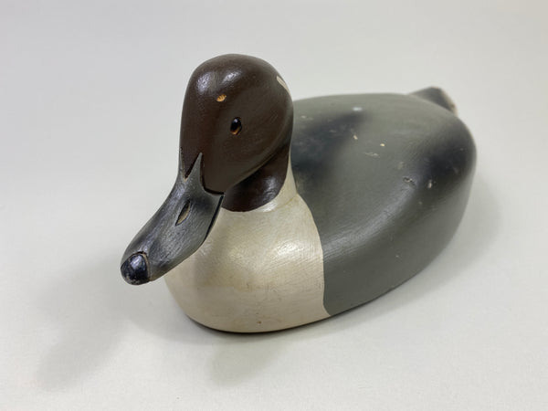 Walter Ruppel Pintail Drake (#9546)