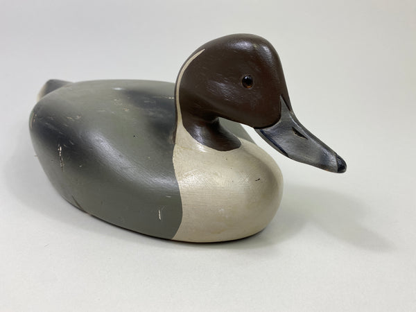 Walter Ruppel Pintail Drake (#9546)