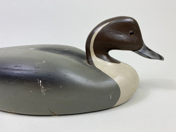 Walter Ruppel Pintail Drake (#9546)