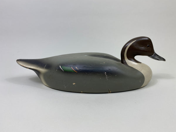 Walter Ruppel Pintail Drake (#9546)