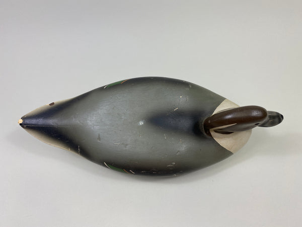 Walter Ruppel Pintail Drake (#9546)