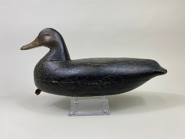 Calvin Parker Black Duck (#9557)